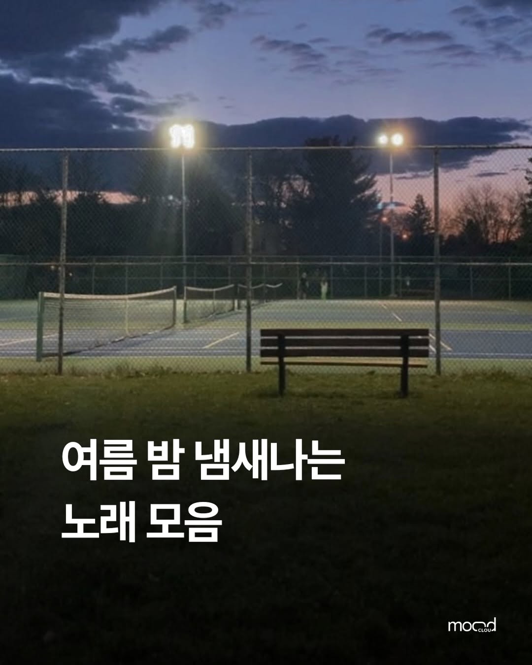 무드 클라우드 Mood Cloud 프로필